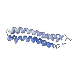 25780_7tap_E_v1-1
Cryo-EM structure of archazolid A bound to yeast VO V-ATPase