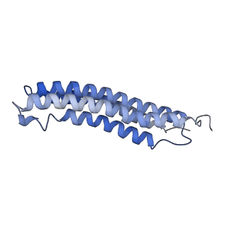 25780_7tap_F_v1-1
Cryo-EM structure of archazolid A bound to yeast VO V-ATPase