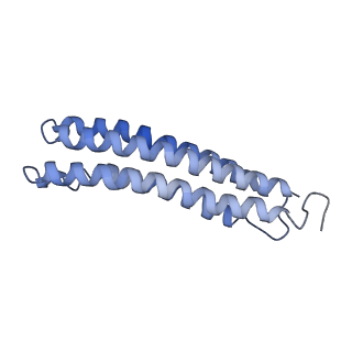 25780_7tap_G_v1-1
Cryo-EM structure of archazolid A bound to yeast VO V-ATPase