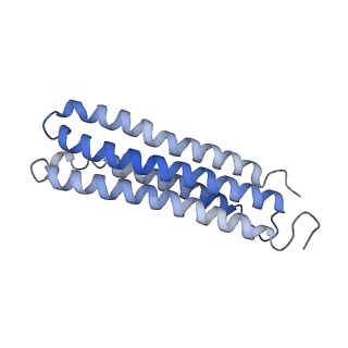 25780_7tap_H_v1-1
Cryo-EM structure of archazolid A bound to yeast VO V-ATPase