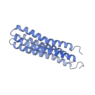 25780_7tap_I_v1-1
Cryo-EM structure of archazolid A bound to yeast VO V-ATPase