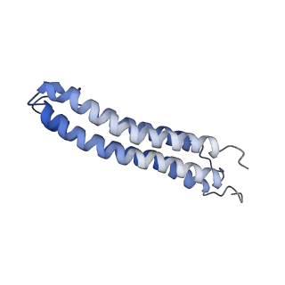 25780_7tap_J_v1-1
Cryo-EM structure of archazolid A bound to yeast VO V-ATPase