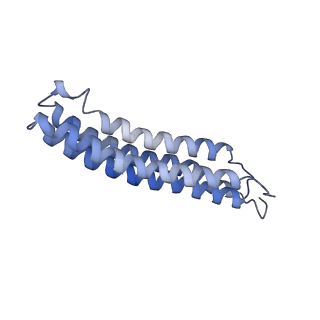 25780_7tap_K_v1-1
Cryo-EM structure of archazolid A bound to yeast VO V-ATPase