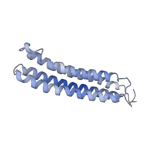 25780_7tap_L_v1-1
Cryo-EM structure of archazolid A bound to yeast VO V-ATPase