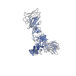25784_7tat_B_v1-2
SARS-CoV-2 spike in complex with the S2K146 neutralizing antibody Fab fragment (two receptor-binding domains open)