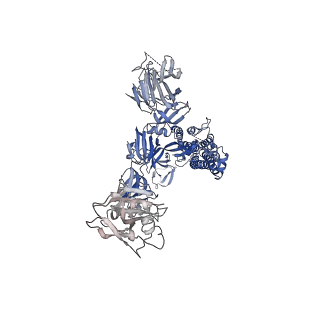 25784_7tat_C_v1-2
SARS-CoV-2 spike in complex with the S2K146 neutralizing antibody Fab fragment (two receptor-binding domains open)