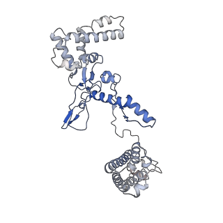 25788_7taw_A_v1-2
Cryo-EM structure of the Csy-AcrIF24-promoter DNA dimer