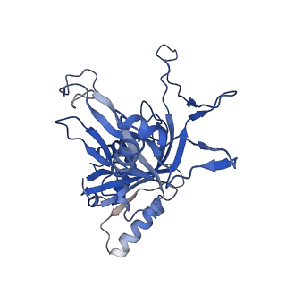 25788_7taw_B_v1-2
Cryo-EM structure of the Csy-AcrIF24-promoter DNA dimer