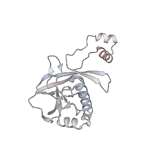 25788_7taw_C_v1-2
Cryo-EM structure of the Csy-AcrIF24-promoter DNA dimer