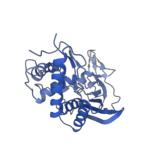 25788_7taw_D_v1-2
Cryo-EM structure of the Csy-AcrIF24-promoter DNA dimer