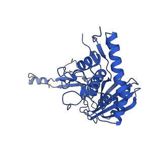 25788_7taw_E_v1-2
Cryo-EM structure of the Csy-AcrIF24-promoter DNA dimer