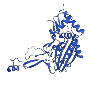 25788_7taw_F_v1-2
Cryo-EM structure of the Csy-AcrIF24-promoter DNA dimer