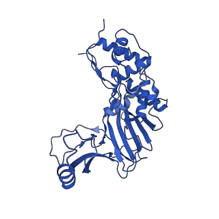25788_7taw_G_v1-2
Cryo-EM structure of the Csy-AcrIF24-promoter DNA dimer