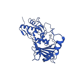 25788_7taw_H_v1-2
Cryo-EM structure of the Csy-AcrIF24-promoter DNA dimer