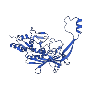 25788_7taw_I_v1-2
Cryo-EM structure of the Csy-AcrIF24-promoter DNA dimer