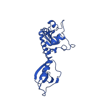 25788_7taw_J_v1-2
Cryo-EM structure of the Csy-AcrIF24-promoter DNA dimer