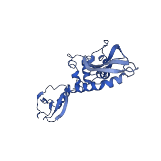 25788_7taw_K_v1-2
Cryo-EM structure of the Csy-AcrIF24-promoter DNA dimer