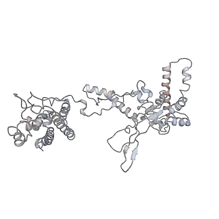 25788_7taw_a_v1-2
Cryo-EM structure of the Csy-AcrIF24-promoter DNA dimer