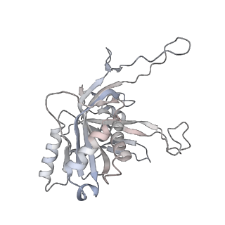 25788_7taw_b_v1-2
Cryo-EM structure of the Csy-AcrIF24-promoter DNA dimer