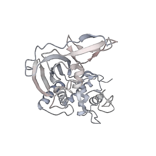 25788_7taw_d_v1-2
Cryo-EM structure of the Csy-AcrIF24-promoter DNA dimer