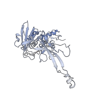 25788_7taw_e_v1-2
Cryo-EM structure of the Csy-AcrIF24-promoter DNA dimer