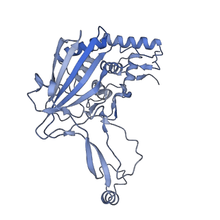 25788_7taw_f_v1-2
Cryo-EM structure of the Csy-AcrIF24-promoter DNA dimer
