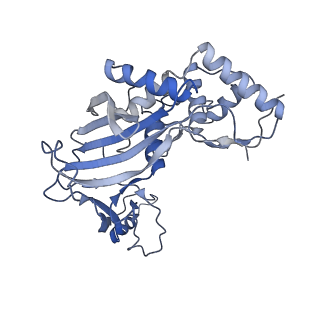 25788_7taw_g_v1-2
Cryo-EM structure of the Csy-AcrIF24-promoter DNA dimer