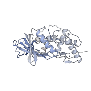 25788_7taw_h_v1-2
Cryo-EM structure of the Csy-AcrIF24-promoter DNA dimer