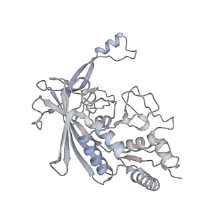 25788_7taw_i_v1-2
Cryo-EM structure of the Csy-AcrIF24-promoter DNA dimer