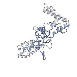25789_7tax_A_v1-2
Cryo-EM structure of the Csy-AcrIF24-promoter DNA complex