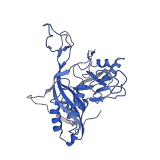 25789_7tax_B_v1-2
Cryo-EM structure of the Csy-AcrIF24-promoter DNA complex