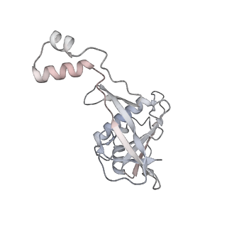 25789_7tax_C_v1-2
Cryo-EM structure of the Csy-AcrIF24-promoter DNA complex