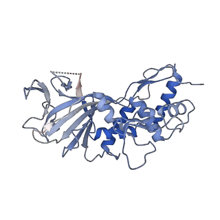 25789_7tax_D_v1-2
Cryo-EM structure of the Csy-AcrIF24-promoter DNA complex