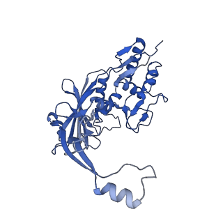 25789_7tax_E_v1-2
Cryo-EM structure of the Csy-AcrIF24-promoter DNA complex
