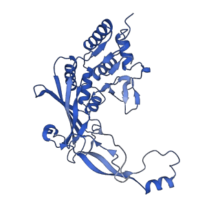 25789_7tax_F_v1-2
Cryo-EM structure of the Csy-AcrIF24-promoter DNA complex
