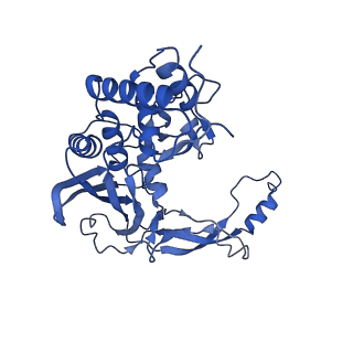 25789_7tax_G_v1-2
Cryo-EM structure of the Csy-AcrIF24-promoter DNA complex