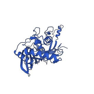 25789_7tax_H_v1-2
Cryo-EM structure of the Csy-AcrIF24-promoter DNA complex