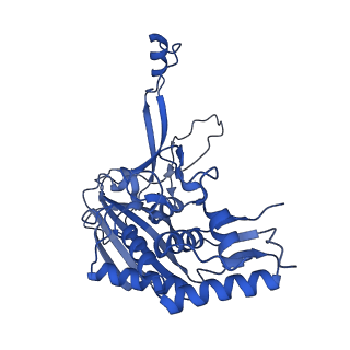 25789_7tax_I_v1-2
Cryo-EM structure of the Csy-AcrIF24-promoter DNA complex