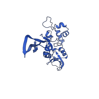 25789_7tax_J_v1-2
Cryo-EM structure of the Csy-AcrIF24-promoter DNA complex