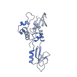 25789_7tax_K_v1-2
Cryo-EM structure of the Csy-AcrIF24-promoter DNA complex