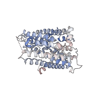 41126_8ta2_A_v1-1
Cryo-EM structure of the human CLC-2 chloride channel transmembrane domain with bound inhibitor AK-42