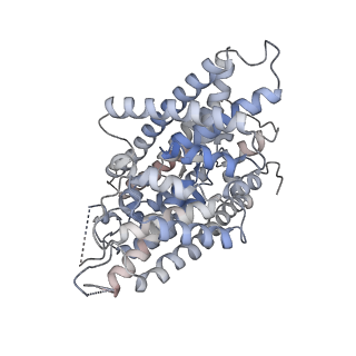 41126_8ta2_B_v1-0
Cryo-EM structure of the human CLC-2 chloride channel transmembrane domain with bound inhibitor AK-42