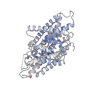 41126_8ta2_B_v1-1
Cryo-EM structure of the human CLC-2 chloride channel transmembrane domain with bound inhibitor AK-42