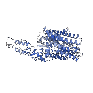 41128_8ta4_A_v2-0
Cryo-EM structure of the human CLC-2 chloride channel transmembrane domain with symmetric C-terminal