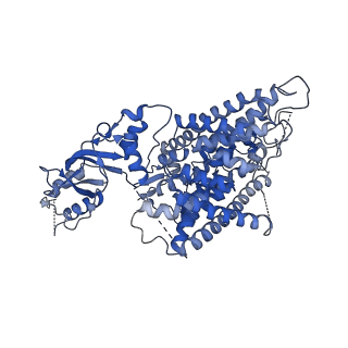 41128_8ta4_B_v1-1
Cryo-EM structure of the human CLC-2 chloride channel transmembrane domain with symmetric C-terminal