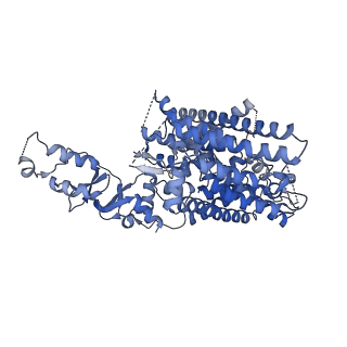 41129_8ta5_A_v2-0
Title: Cryo-EM structure of the human CLC-2 chloride channel transmembrane domain with asymmetric C-terminal