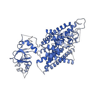 41129_8ta5_B_v2-0
Title: Cryo-EM structure of the human CLC-2 chloride channel transmembrane domain with asymmetric C-terminal