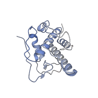 41135_8tah_E_v1-2
Cryo-EM structure of Cortactin-bound to Arp2/3 complex