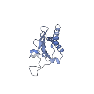 41135_8tah_F_v1-2
Cryo-EM structure of Cortactin-bound to Arp2/3 complex