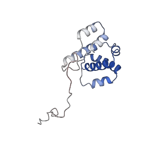 41135_8tah_G_v1-2
Cryo-EM structure of Cortactin-bound to Arp2/3 complex